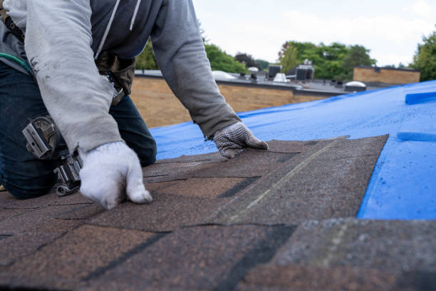 Best Roof Gutter Cleaning  in Mantua, VA
